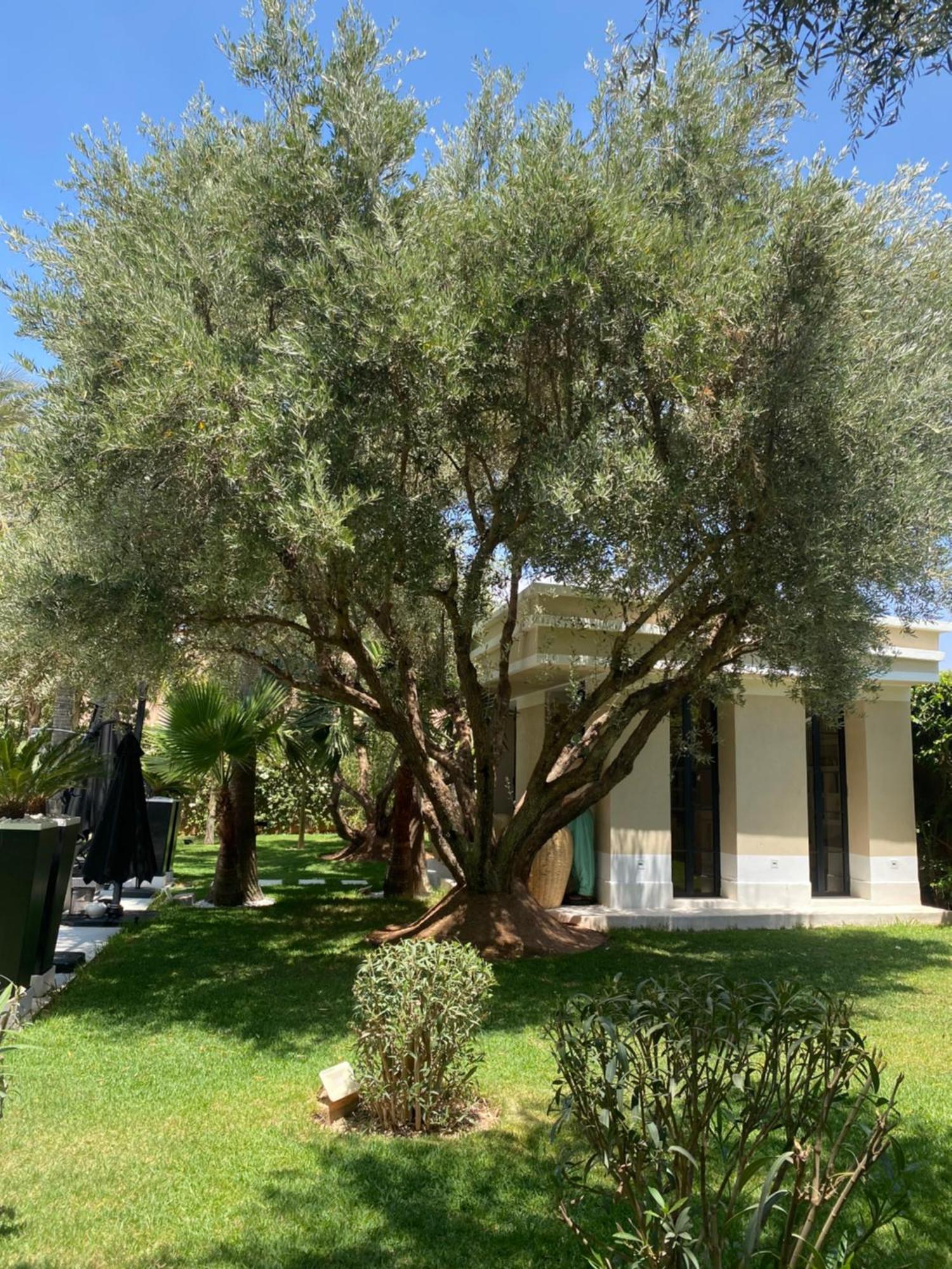Villa Mano Lagouassem ภายนอก รูปภาพ